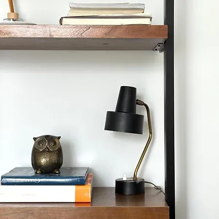 Superbe Appartement Ultra-Centre Climatise *